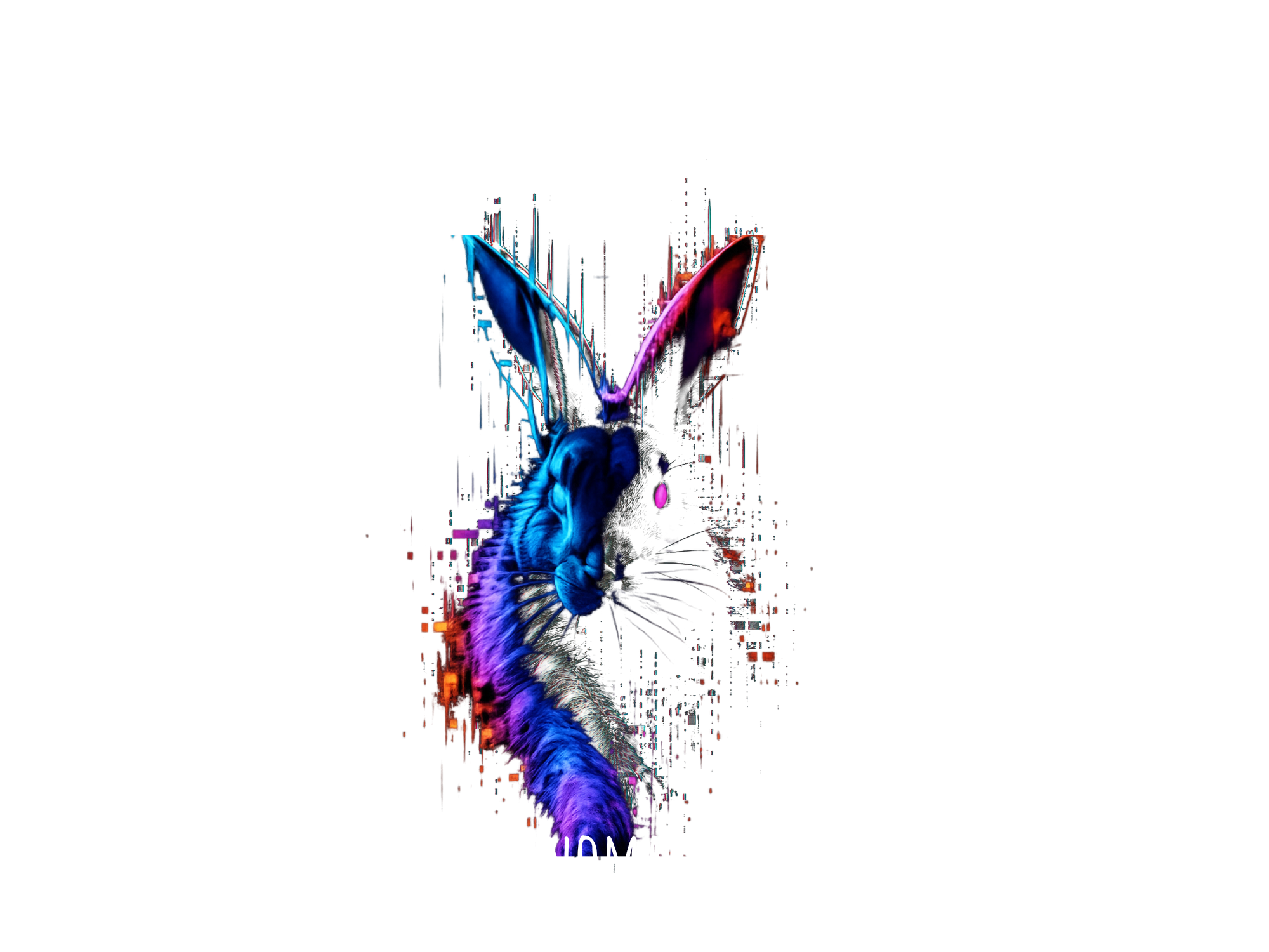 < ANOMALY>