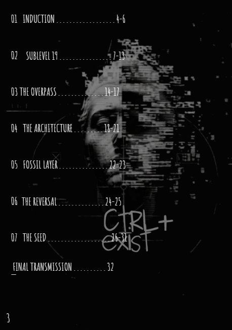 THE ASSIGNMENTS —ENG version PDF-Digital artifact